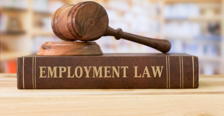 developments-in-employment-law-jurispudence-in-zambia-analysis